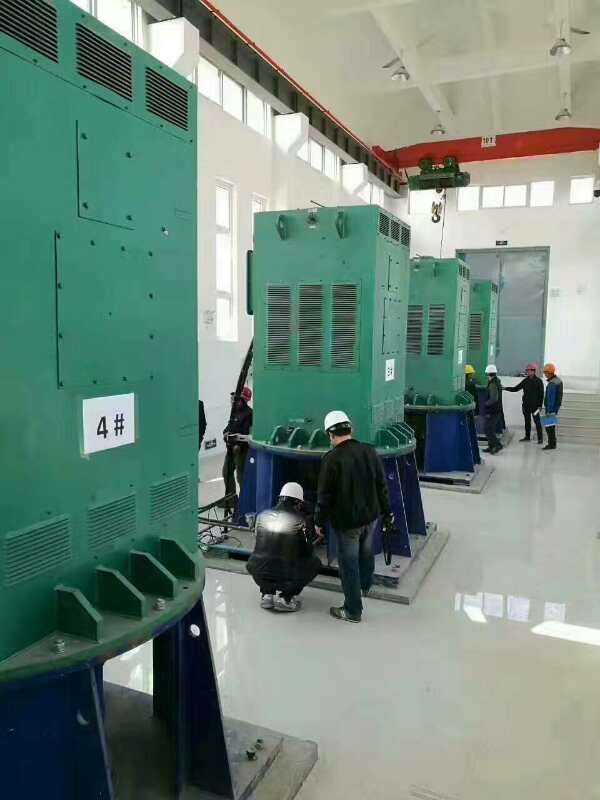 洛江某污水处理厂使用我厂的立式高压电机安装现场